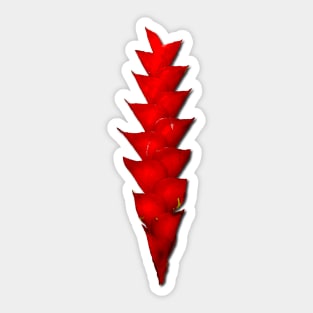 Red Ginger Graphic Sticker